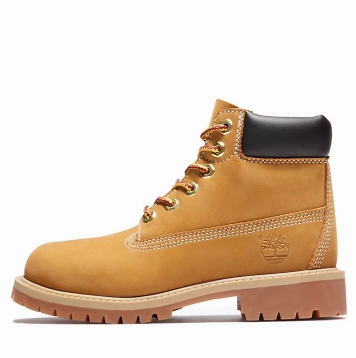 TIMBERLAND K 6IN PREM WP BOOT Most Comfortable Safety Boots