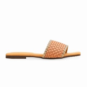 Gv Special Plus Casual Shoes Fawn Casual Slipper For Women CL2117