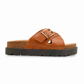 Marni Slippers Brown Formal Slipper For Women PU0391