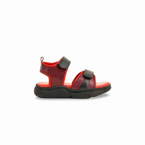 Boys Red Formal Sandal KD4748 Keene Sandals