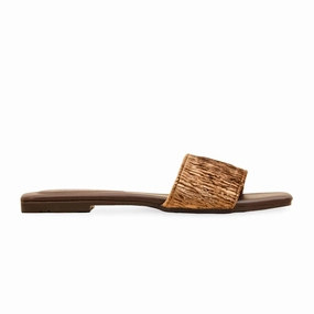 Flat Rate Shoe Box Brown Casual Slipper For Women CL2127