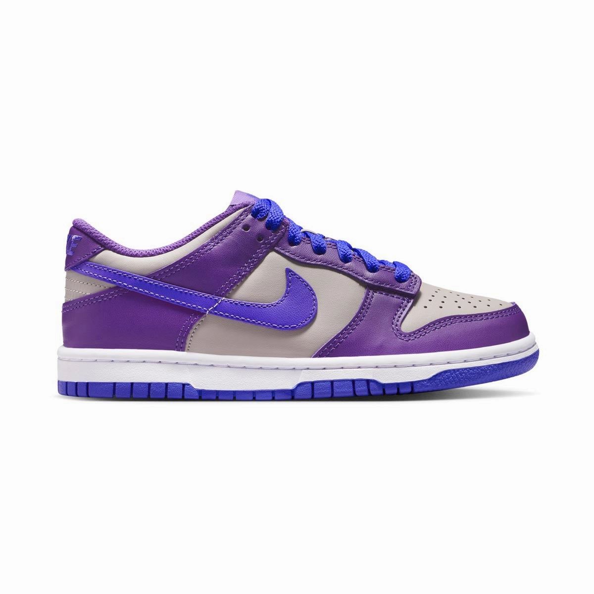 Pro Skate Nike Dunk Low 'Wild Grape' Big Kids' Shoes