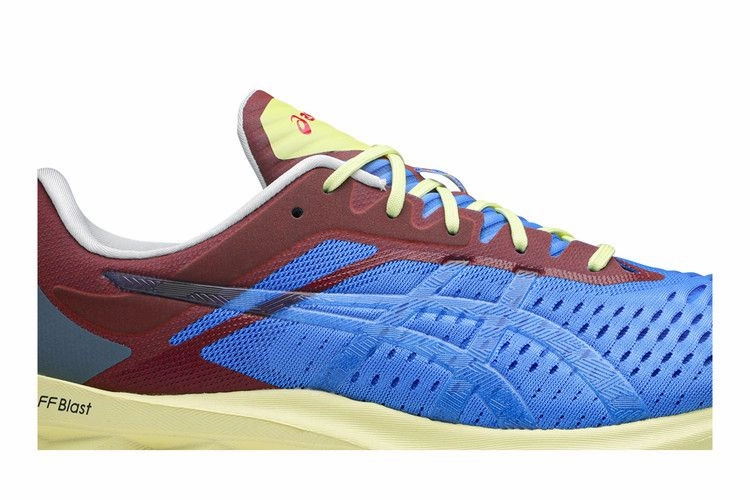 ASICS Novablast Affix Blue Asics Running Shoes Nimbus 26