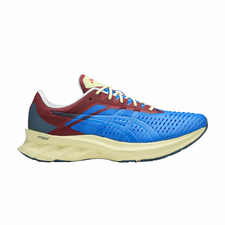 Asics Cross Country Shoes ASICS Novablast Affix Blue