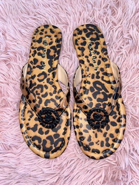 Sandals Flip Flops By Jack Rogers In Animal Print, Size: 7 Surf Flip Flops