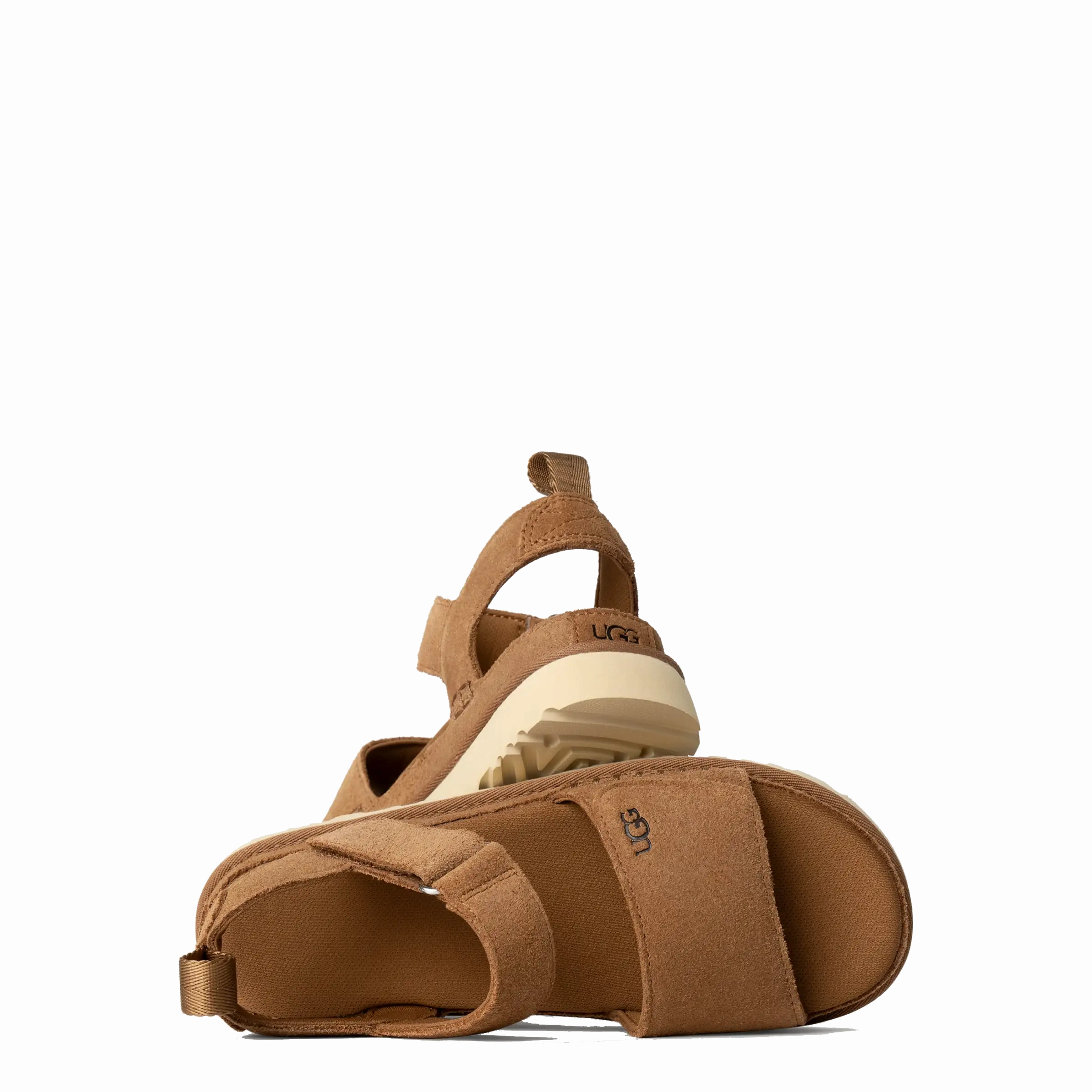 Oxford Flat Shoes Goldenstar Chestnut (Women)