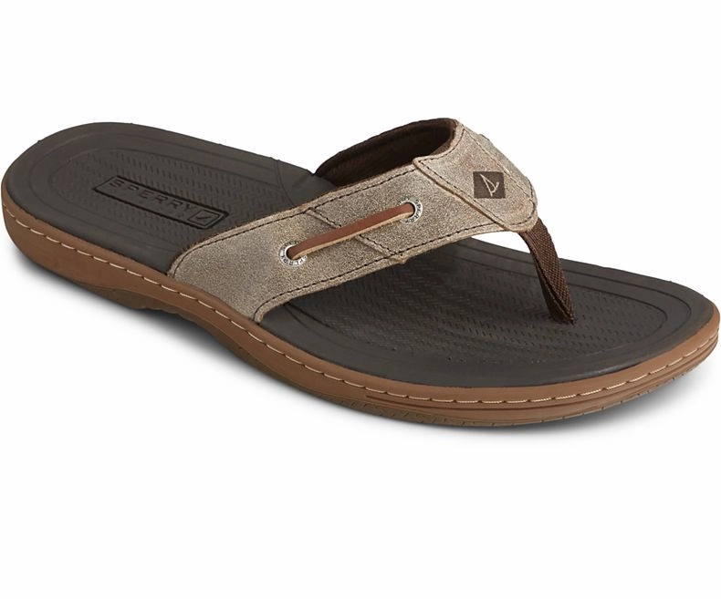 Flip Flops Vs Sandals Vs Slides STS12688 Men's Baitfish Flip-Flops