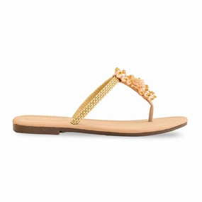 Best Trending Casual Shoes Fawn Casual Chappal CL1950